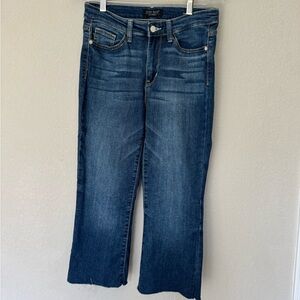 Judy Blue Cropped Sz. 5/27